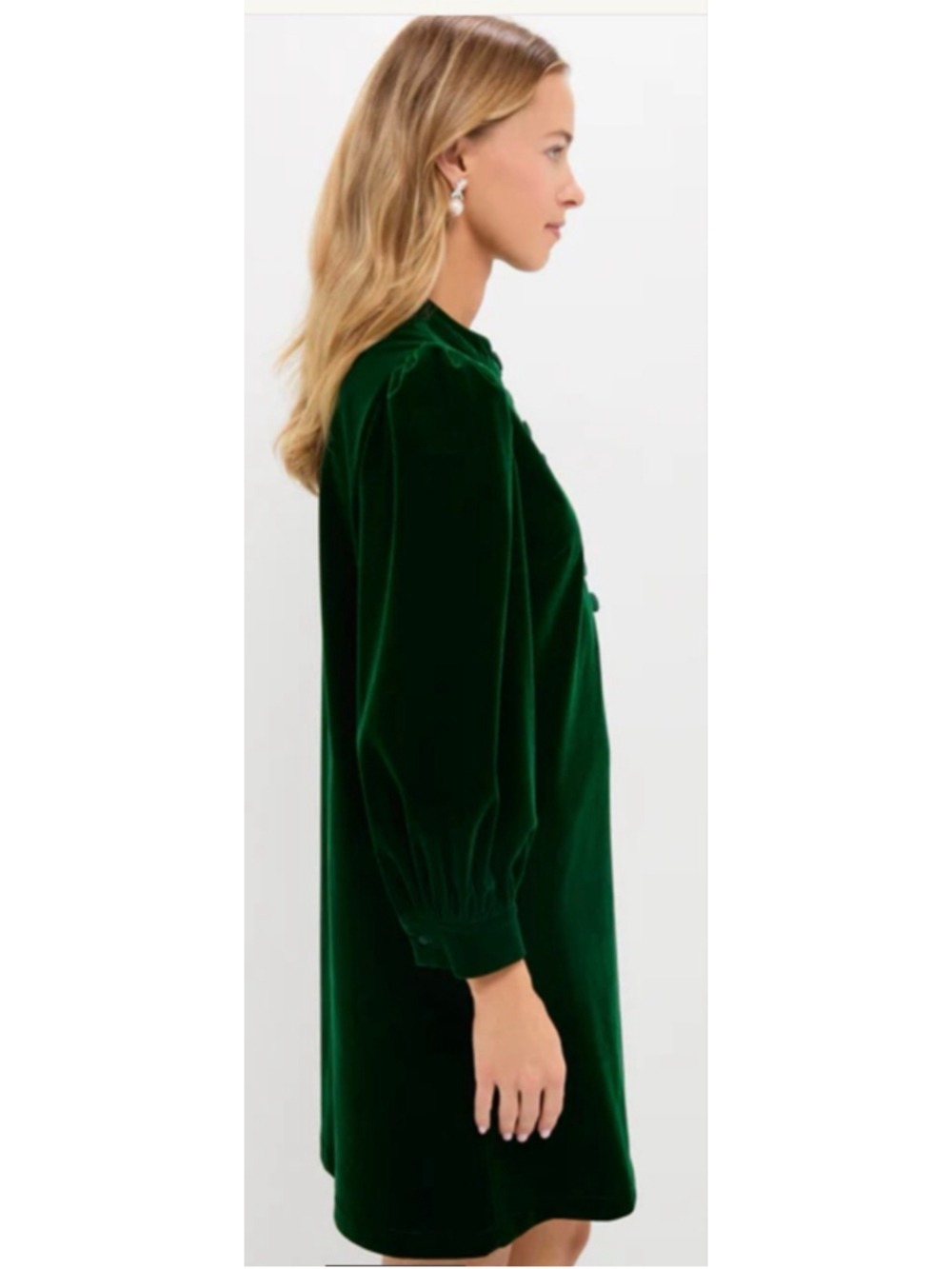 NWT Tuckernuck Pomander Place Hunter Green Velvet Samantha Mini Dress M - Picture 4 of 8